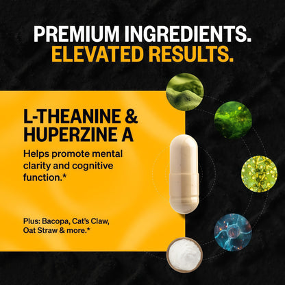 ONNIT Alpha Brain Nootropic Brain Supplement Capsules 90 Count