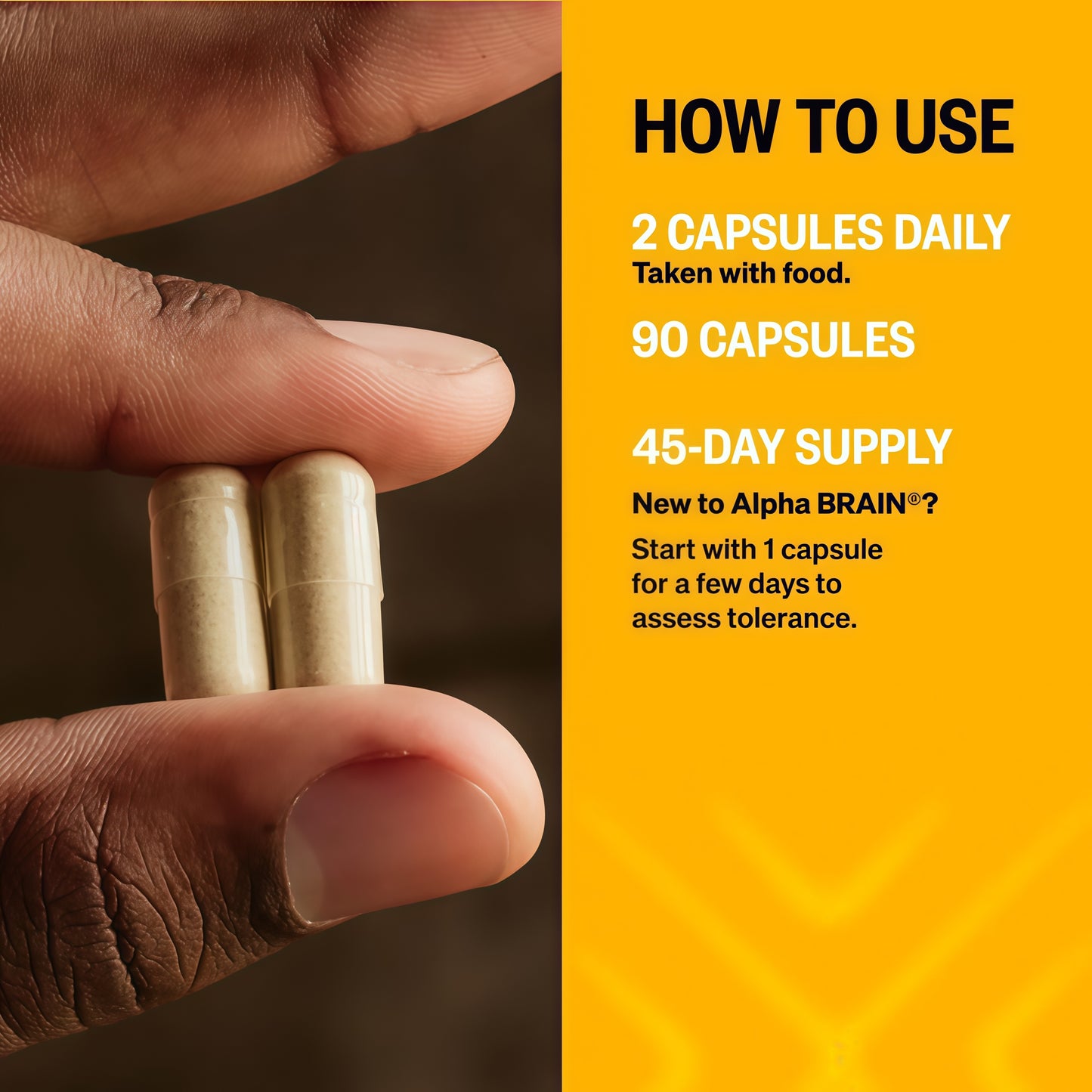 ONNIT Alpha Brain Nootropic Brain Supplement Capsules 90 Count